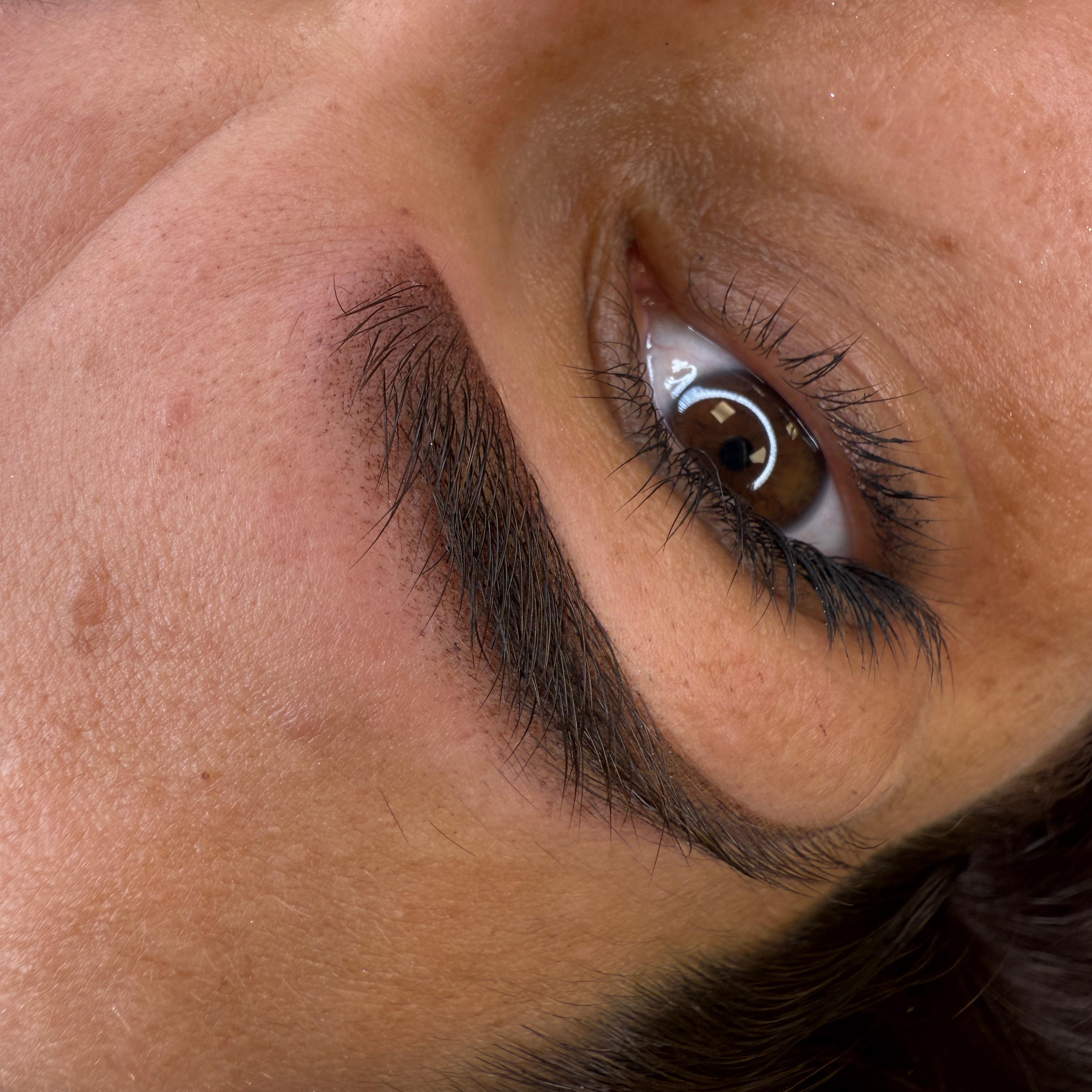 Soft Edge Brows (powderbrows)